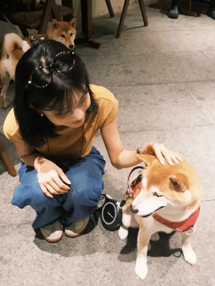 棋牌App用户增长趋势